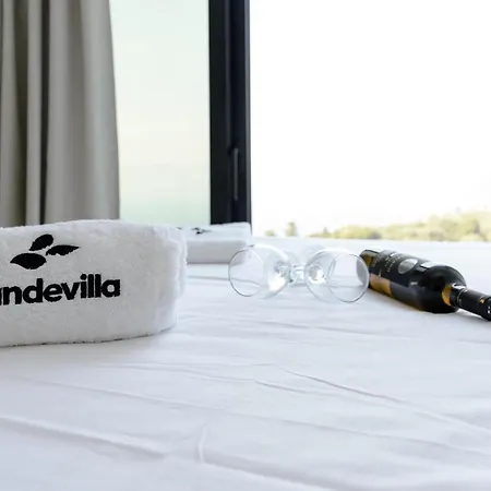 Mandevilla Hillside Luxury Villas Agios Nikitas Exterior photo